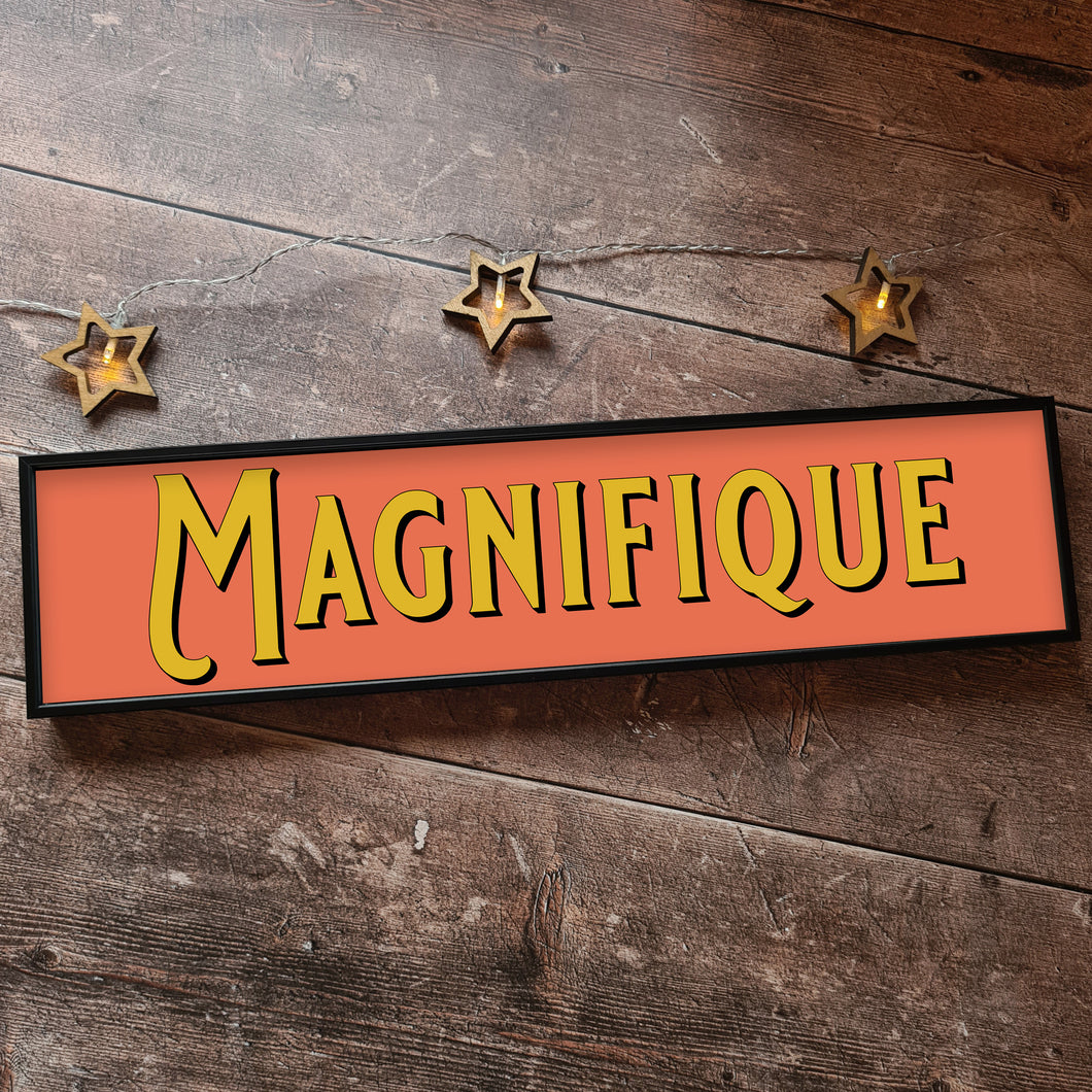 Magnifique Framed Metal Print