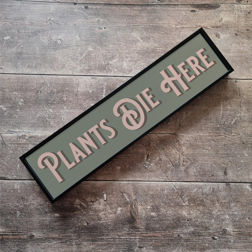 Plants Die Here Framed Metal Print