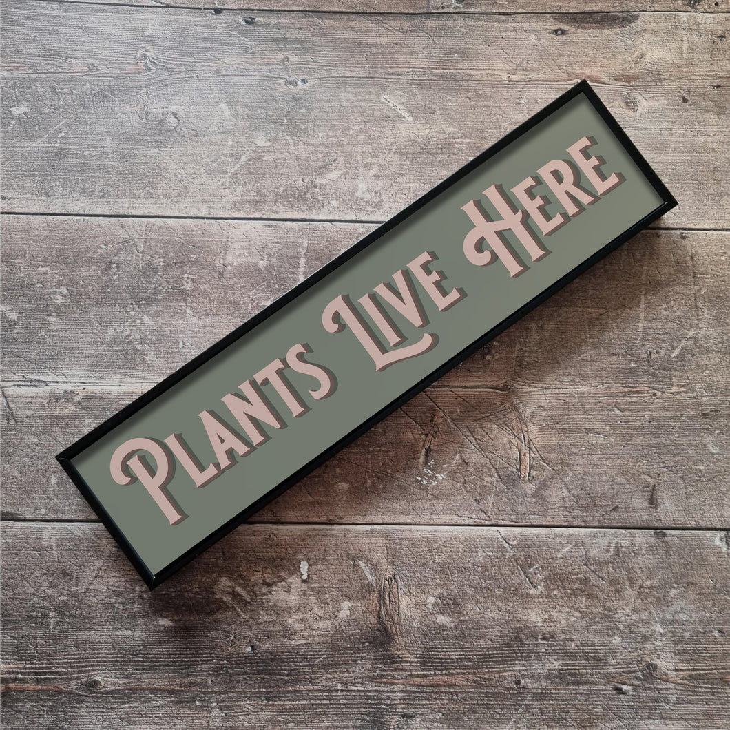 Plants Live Here Framed Metal Print
